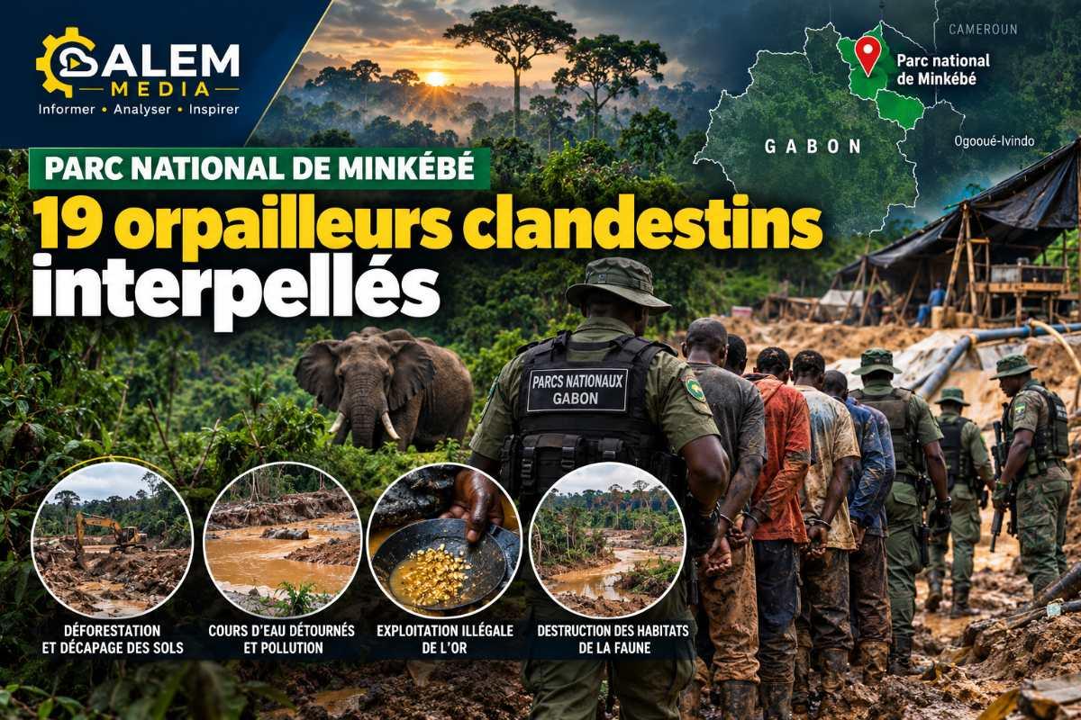 Parc national de Minkébé : 19 orpailleurs clandestins interpellés